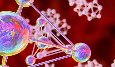 Biology and Life Sciences